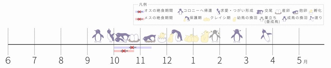 ペンギンカレンダー