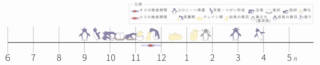 ペンギンカレンダー