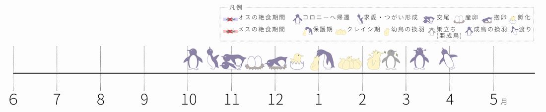 ペンギンカレンダー