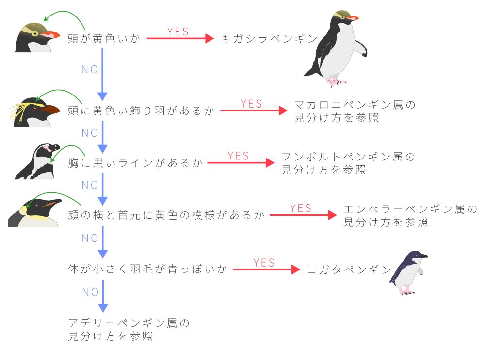 属の見分け方