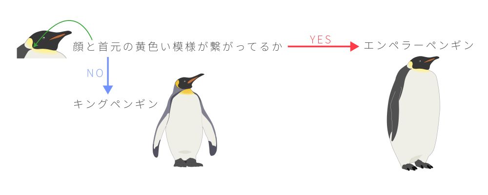 エンペラーペンギン属の見分け方