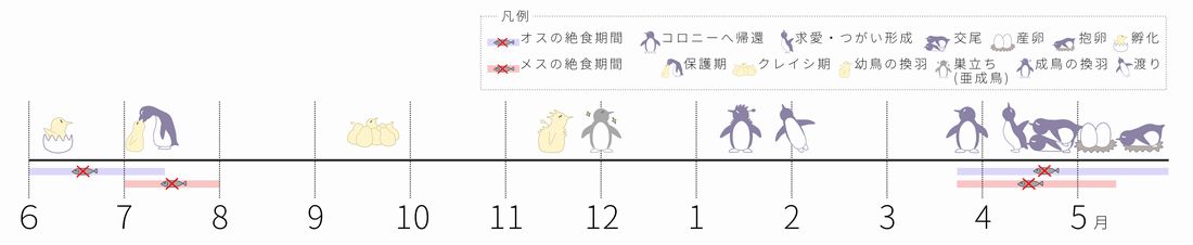 ペンギンカレンダー