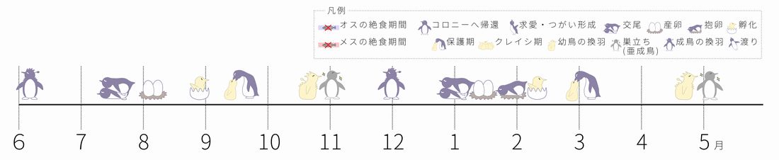 ペンギンカレンダー