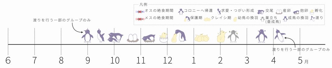 ペンギンカレンダー