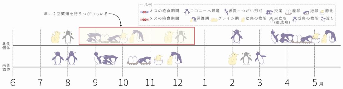 ペンギンカレンダー