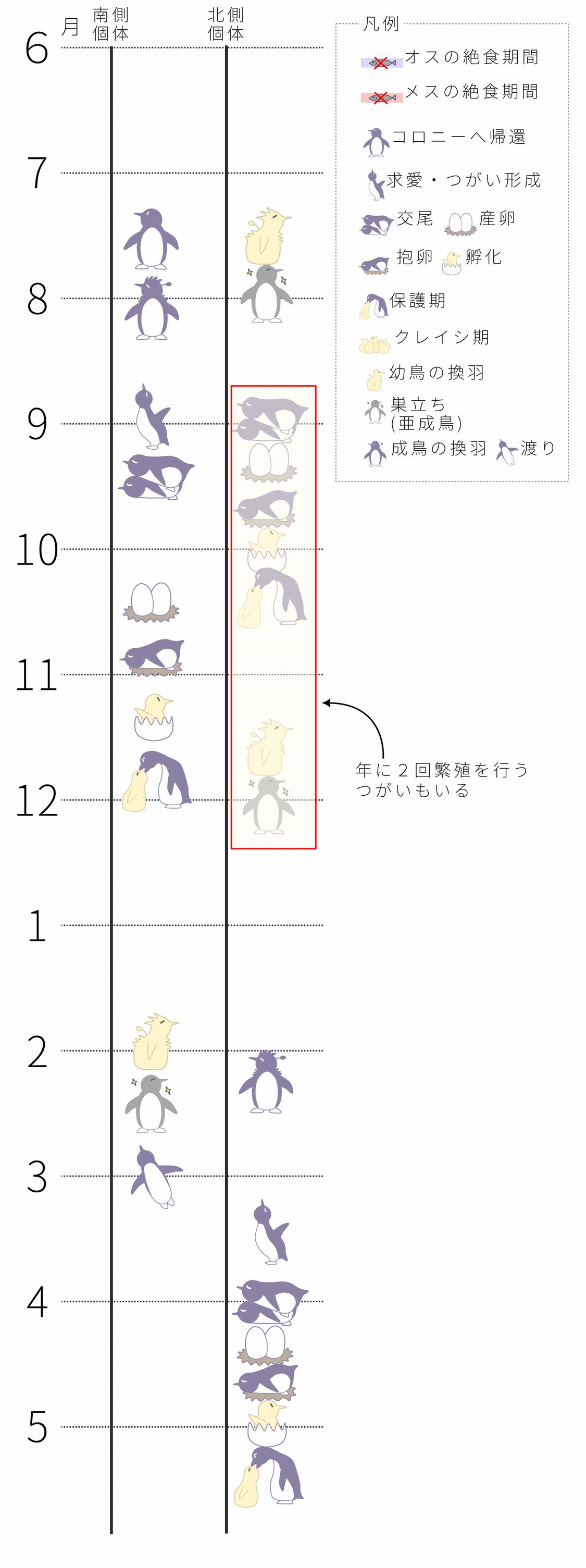 ペンギンカレンダー（スマホ用）