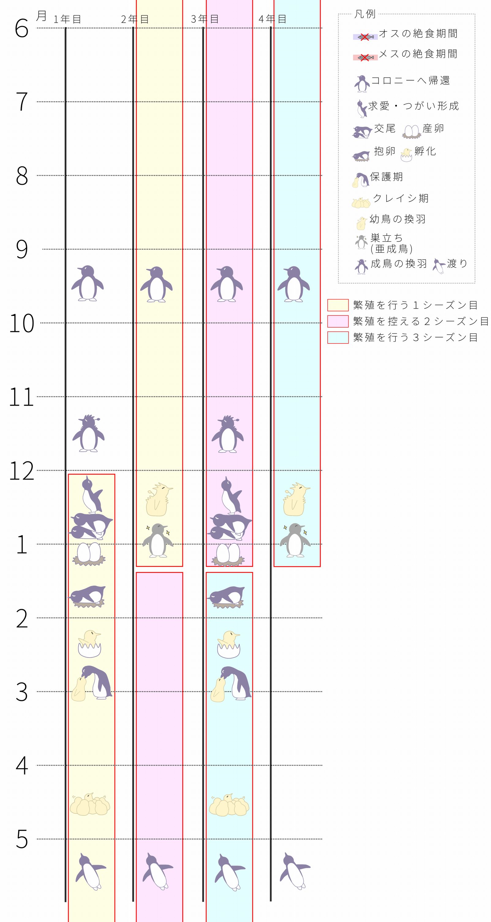 ペンギンカレンダー（スマホ用）