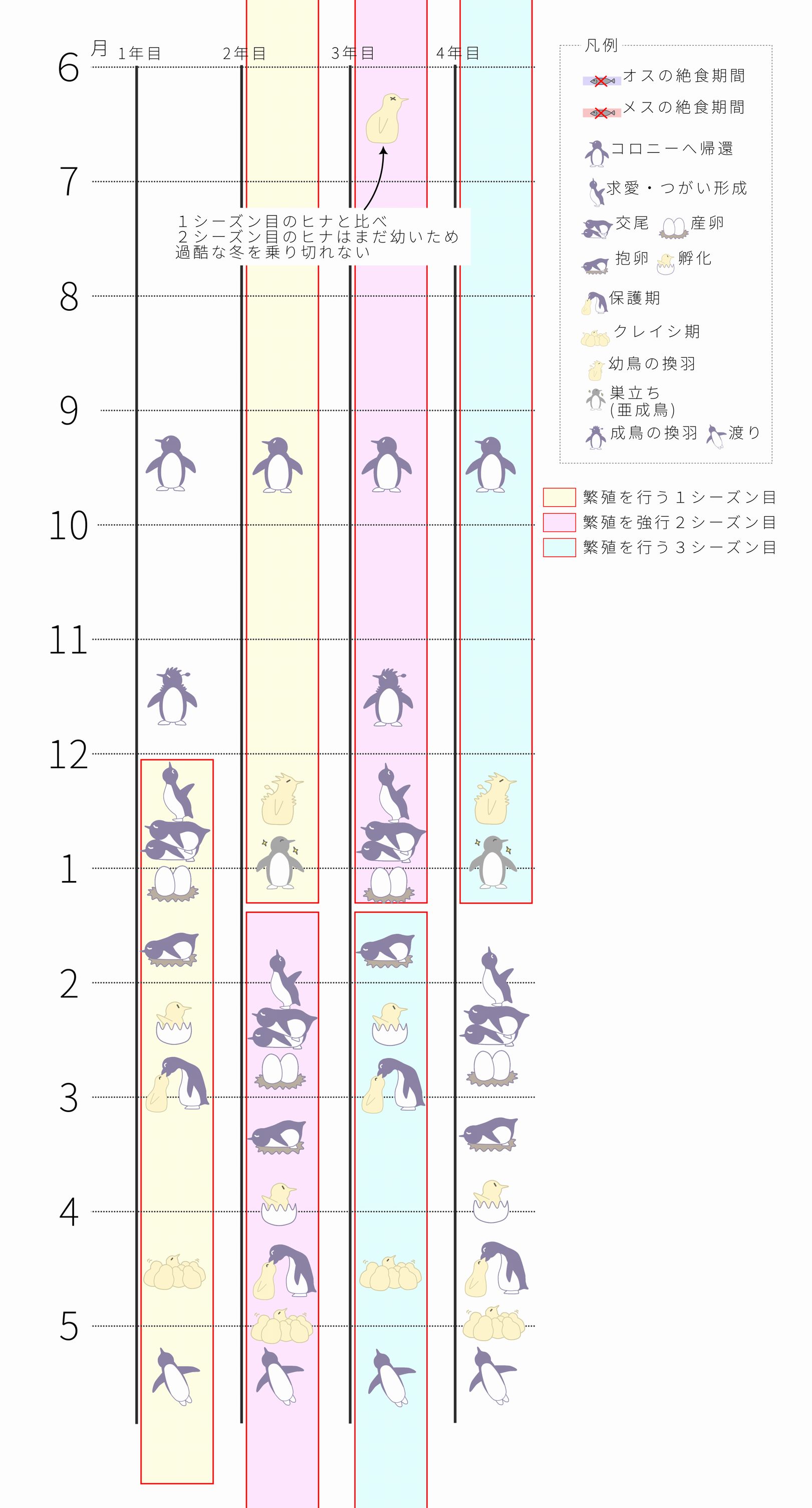 ペンギンカレンダー（スマホ用）