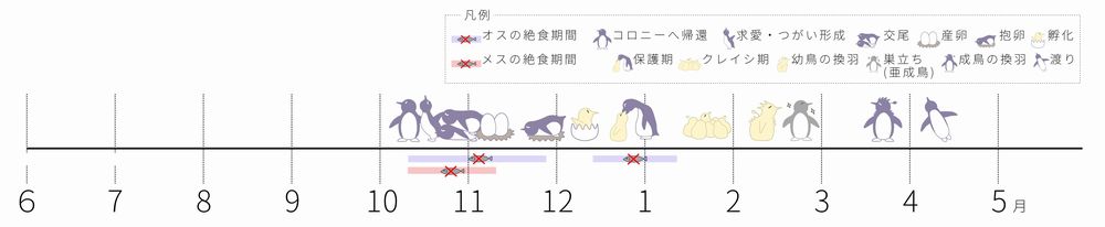 ペンギンカレンダー