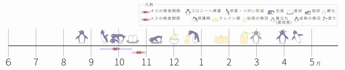 ペンギンカレンダー