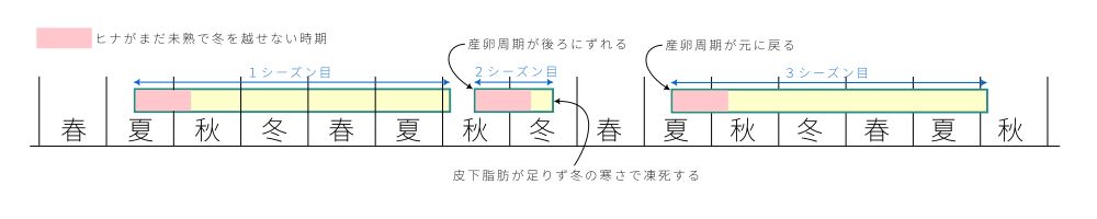 産卵周期のずれ