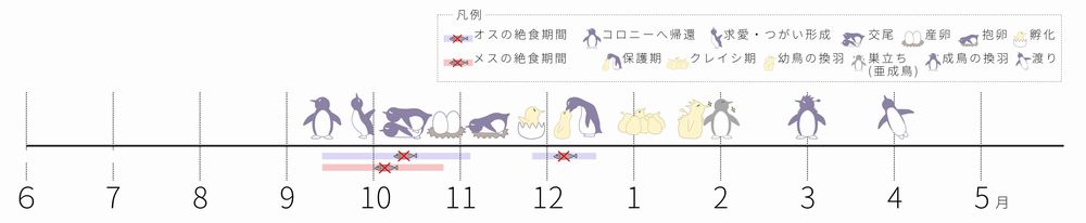 ペンギンカレンダー