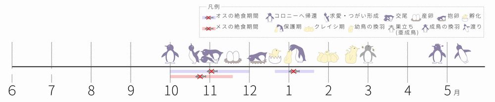 ペンギンカレンダー