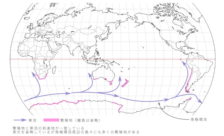 ペンギンの繁殖地と寒流の相関